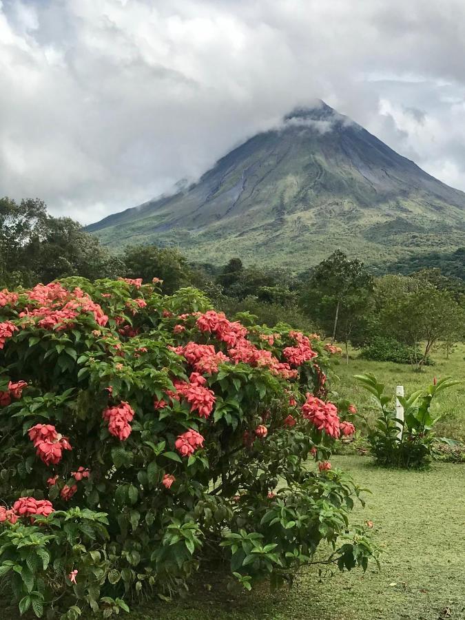 Arenal Roca Suites La Fortuna Exteriör bild