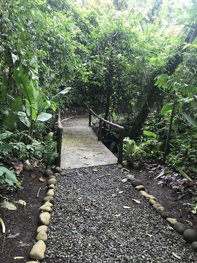 Arenal Roca Suites La Fortuna Exteriör bild